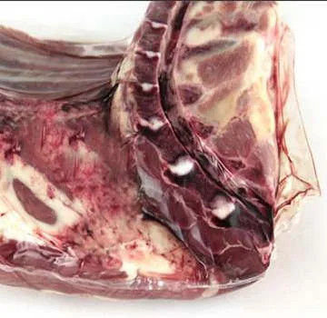 Sacs d'emballage de viande fraîche à froid PA/PE film rétrécissant PVDC film rétrécissant et sacs