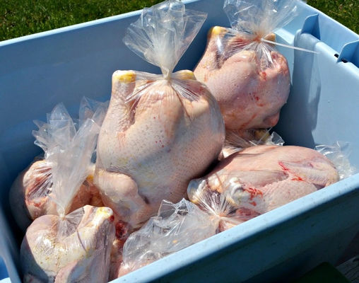 Sacs d'emballage de viande fraîche à froid PA/PE film rétrécissant PVDC film rétrécissant et sacs